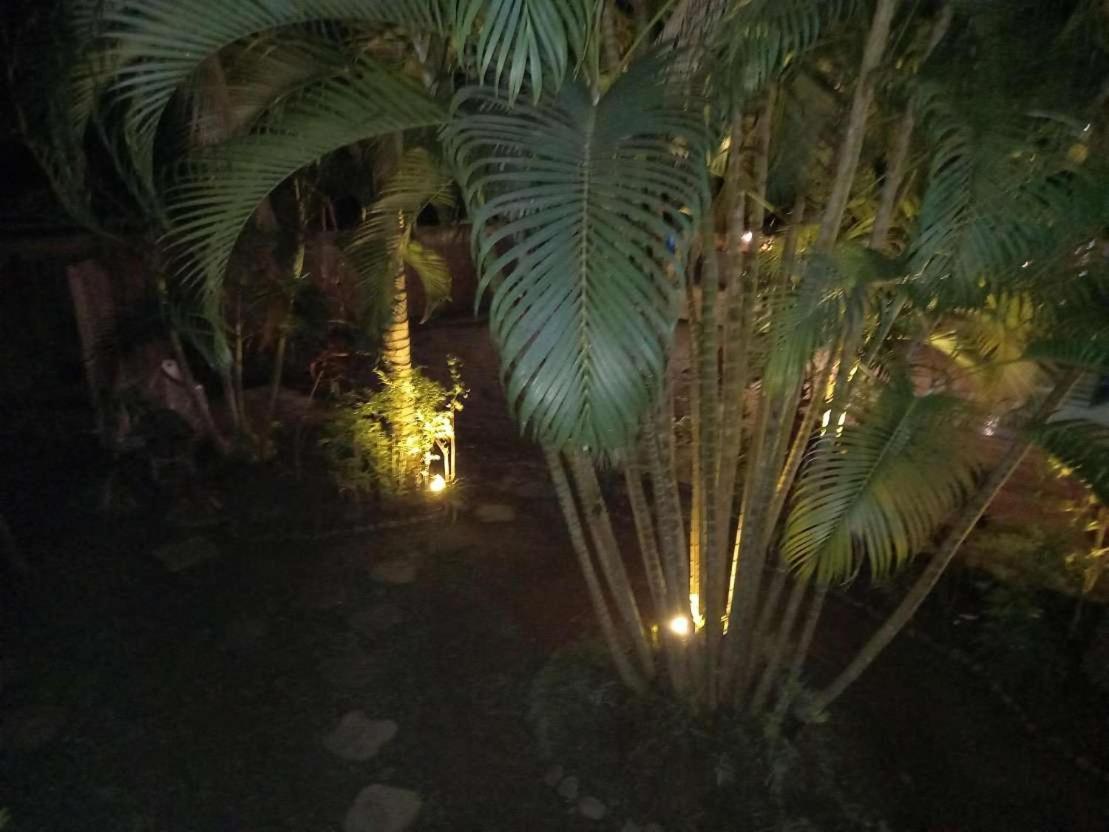 Oasis Palms Hotel Nadi Exterior foto